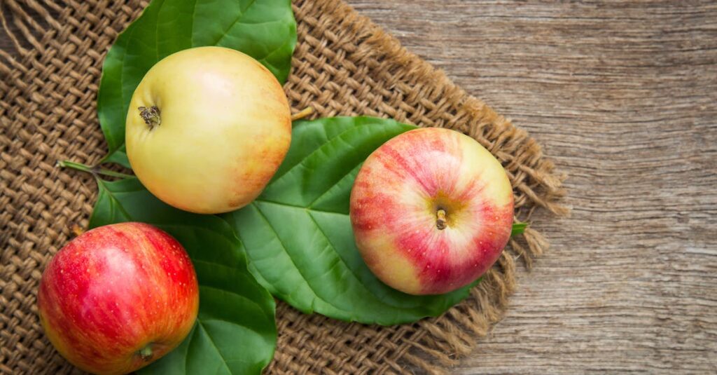 Three ripe apples on leaves over a rustic wooden background, emphasizing freshness and nutrition.